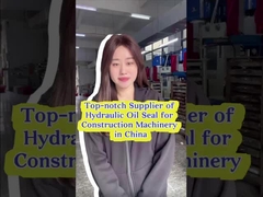 EX450-5 EX60-1 Υδραυλική σφραγίδα κυλίνδρου ανθεκτική στη θερμότητα